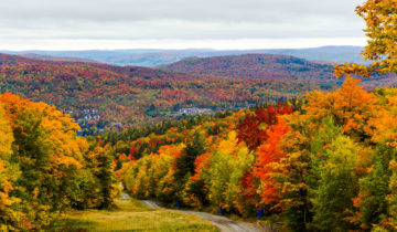 ALLA SCOPERTA DEL CANADA ON THE ROAD