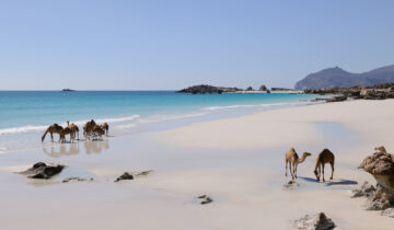 OMAN TRA STORIA, CULTURA E NATURA